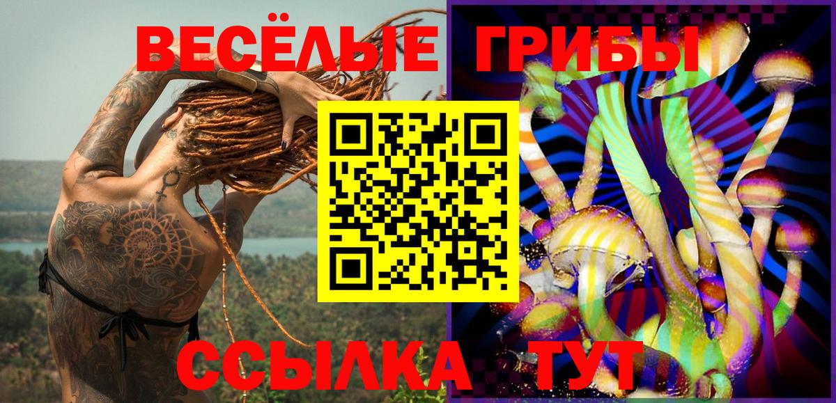 Псилоцибиновые грибы мухоморы  Вход с VPN  Электросталь 